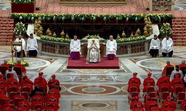 Papa Francisco a los 20 nuevos cardenales: Volvamos a mirar a Jesús